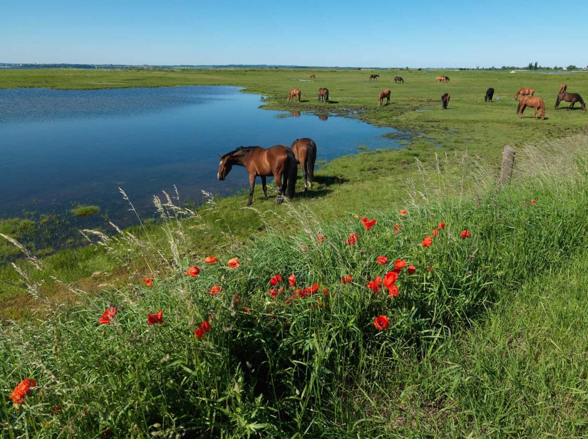 Ferienanlage Poschmann Strohboden Poel Extérieur photo